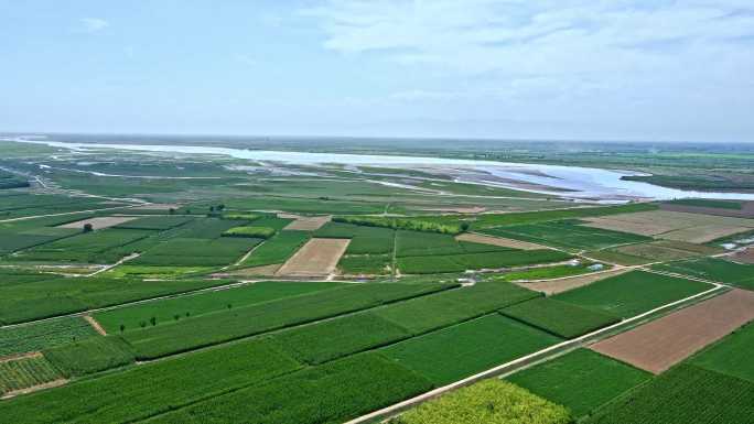 黄河平原-生态农业产区