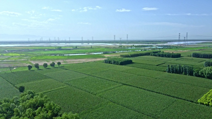 黄河平原-杂粮食农业产区5