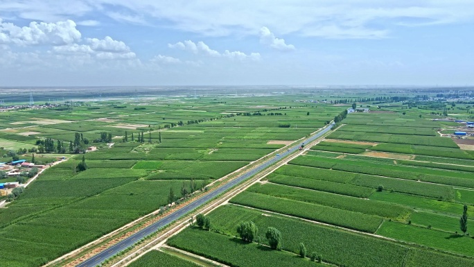 黄河平原粮食农业基地