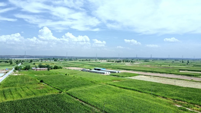 黄河河套平原-杂粮产区基地