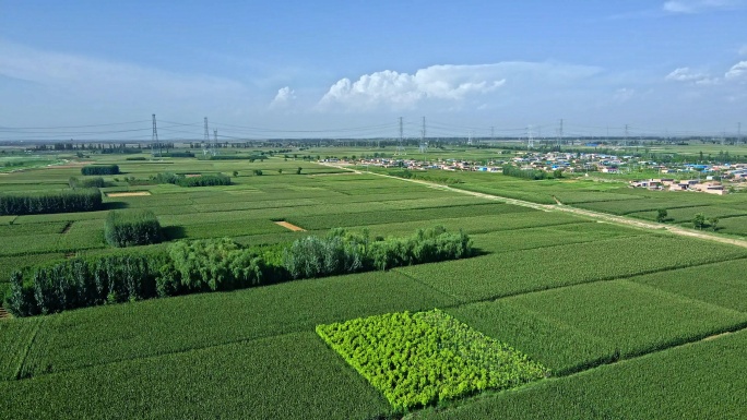 黄河平原-杂粮食农业产区3