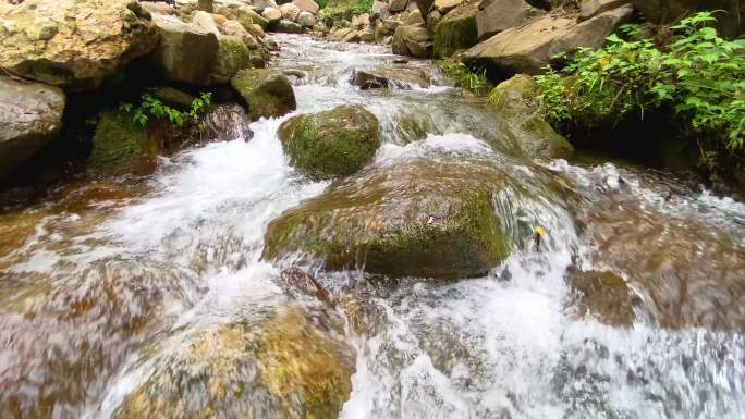 流水小溪 泉水 生态自然