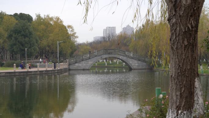 公园里柳树旁的湖边小桥慢镜头