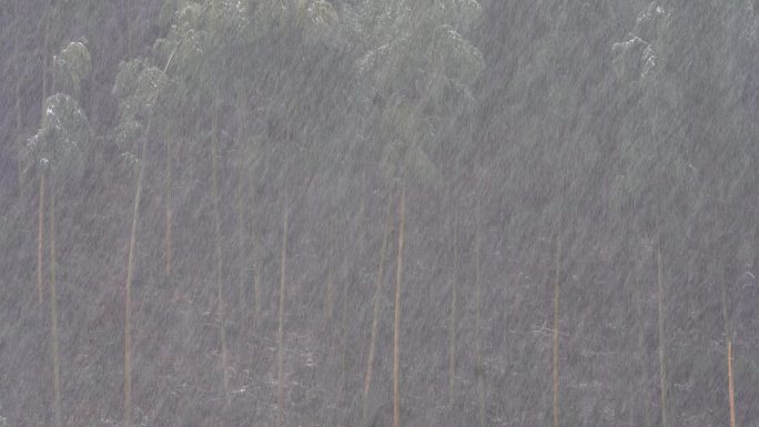 江南浙江冬天竹林竹山大雪下雪山村雪景