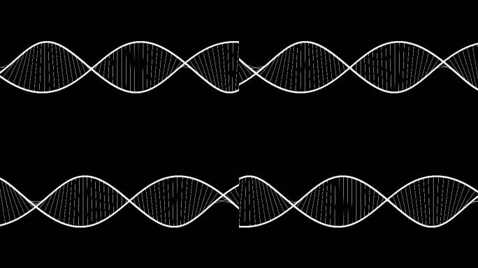 DNA元素  动画