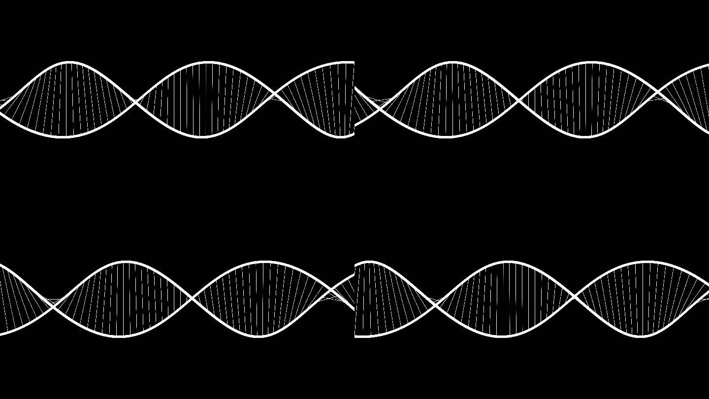 DNA元素  动画