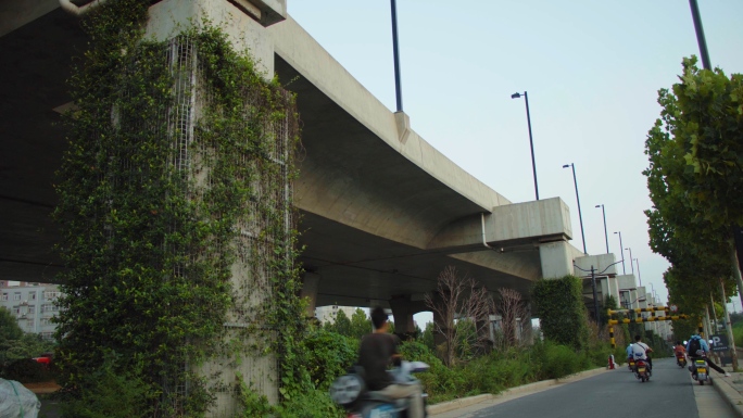 郑州大桥建筑道路绿化改造