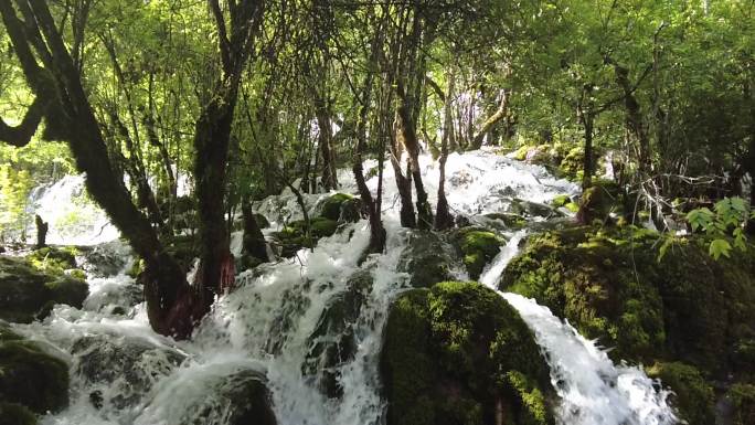 四川阿坝九寨沟县九寨沟景区风景-35