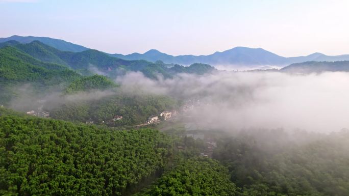 清晨大雾中的湖州安吉山区乡村航拍