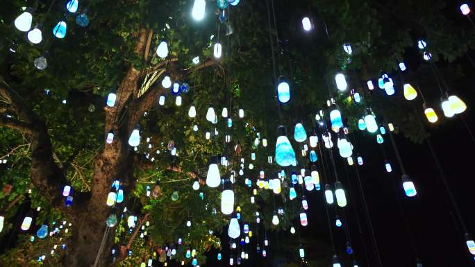 五彩缤纷的灯光树