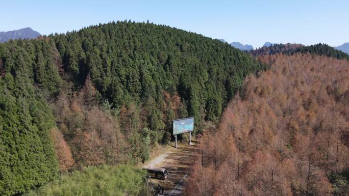 重庆南川山王坪