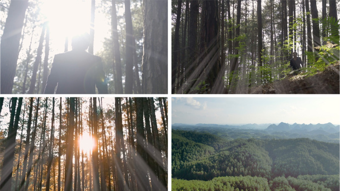 男人探险森林自然旅行丛林山林爬山徒步呼吸