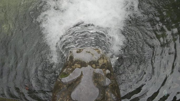 济南 黑虎泉 虎头 喷水 HLG色彩模式