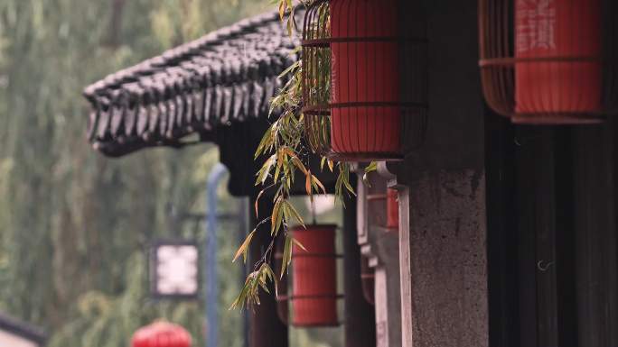 烟雨黎里 古镇 江南古镇 水乡