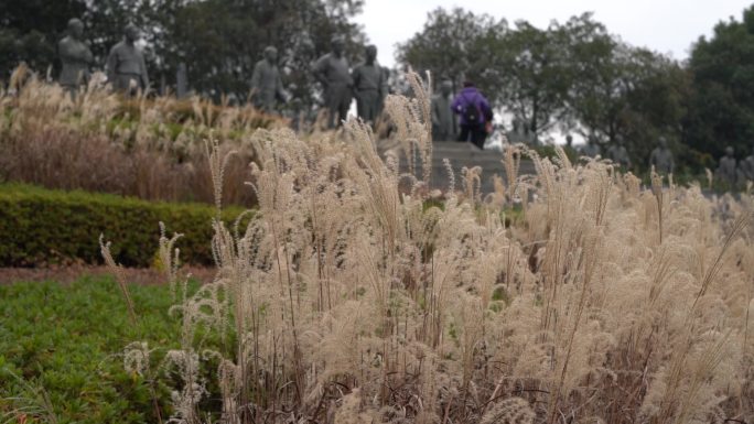 透过芦苇荡参观宁波院士公园远景