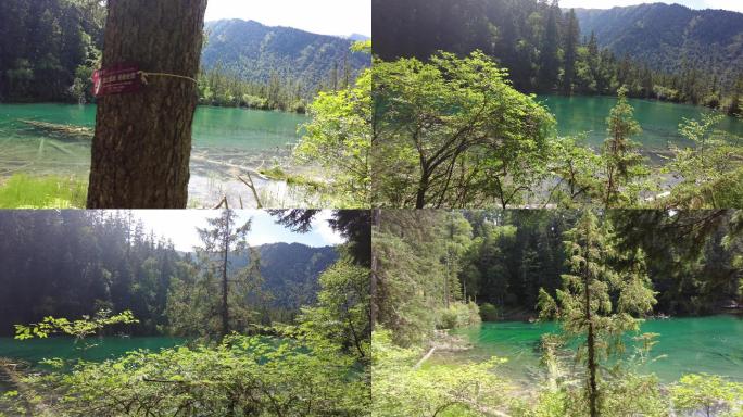 四川阿坝九寨县恩嫩桑错神仙池景区-71