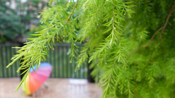 夏天下雨天意境空境 雨伞旁的空境