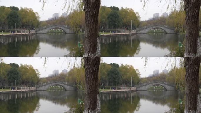 公园里柳树旁的湖边小桥慢镜头
