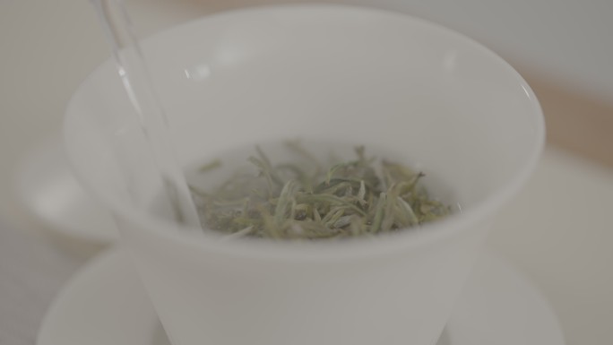 泡茶功夫茶道绿茶升格