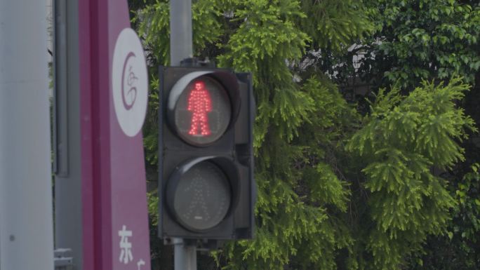 广州天河马路红绿灯车流车辆行人