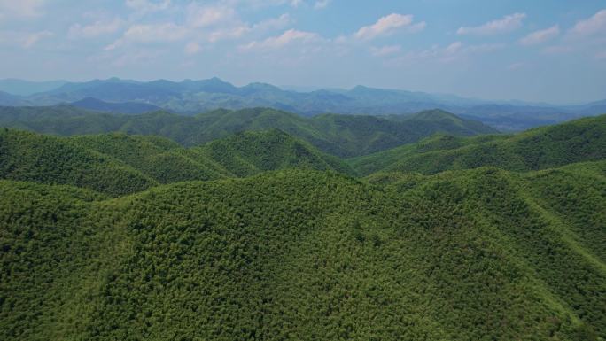 航拍 蓝天白云群山竹海天然氧吧