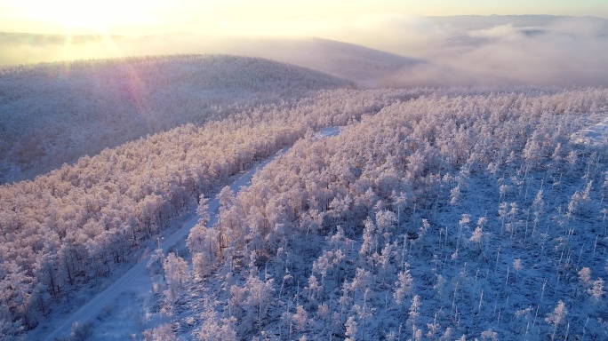 航拍大兴安岭冷空气笼罩的林海雪原