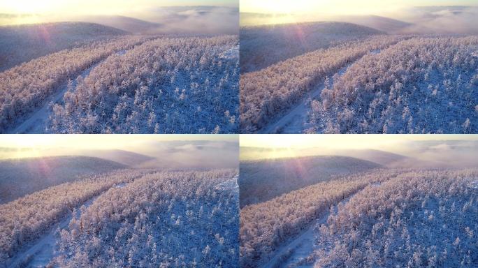 航拍大兴安岭冷空气笼罩的林海雪原