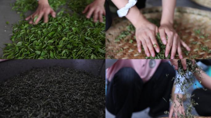 贵州绿茶采摘炒茶萎凋提香烘干人工炒茶过程