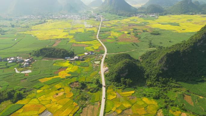 乡村路 田园风光