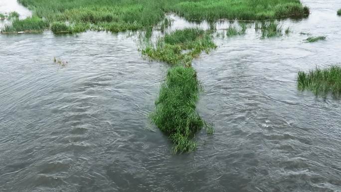 河水灌入草滩