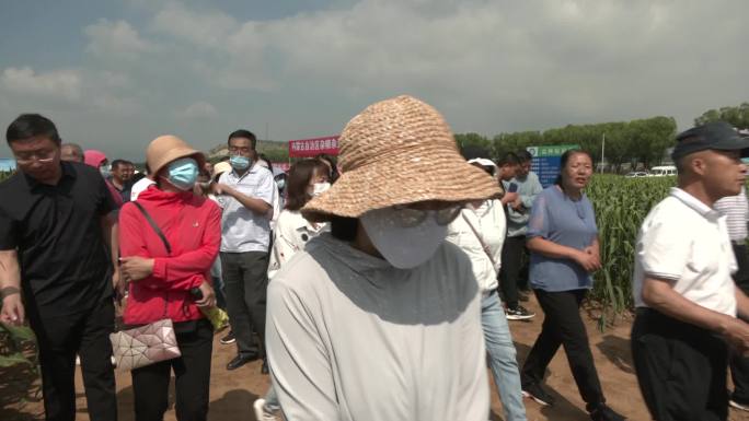 全国各地粮食种子经销商试验田参观观摩考察