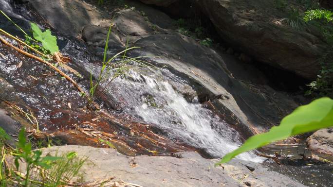 野外山中的山泉水溪流特写