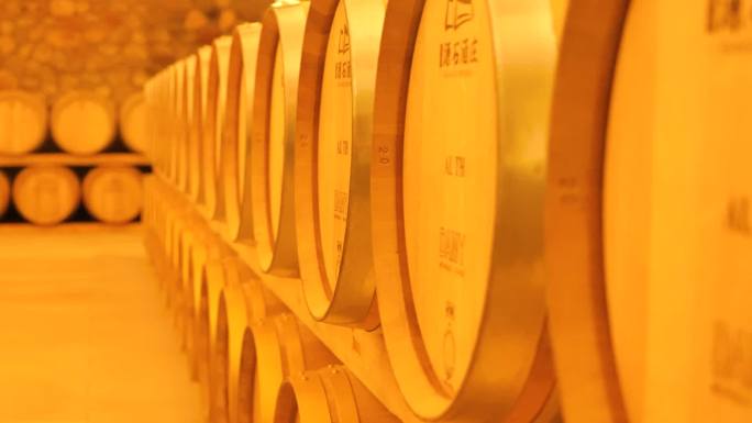 宁夏大型葡萄酒窖发酵过程