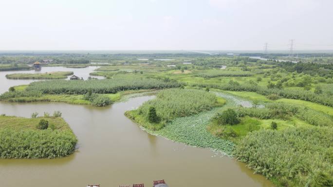 航拍宁波慈溪市杭州湾国家湿地公园4K航拍