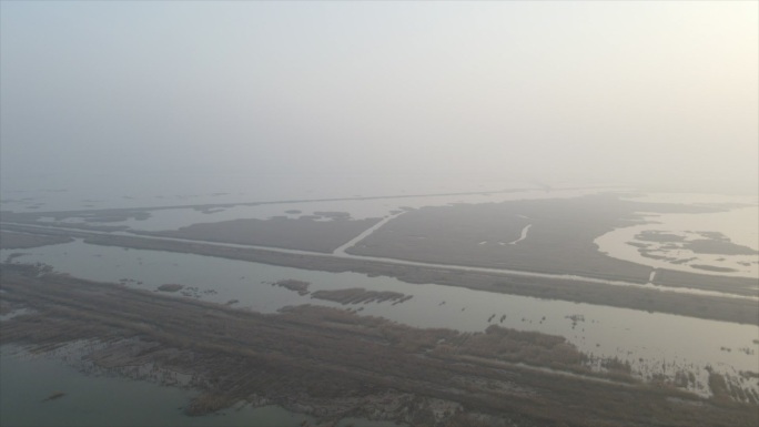 东营 黄河三角洲保护区 大雾 航拍 生态