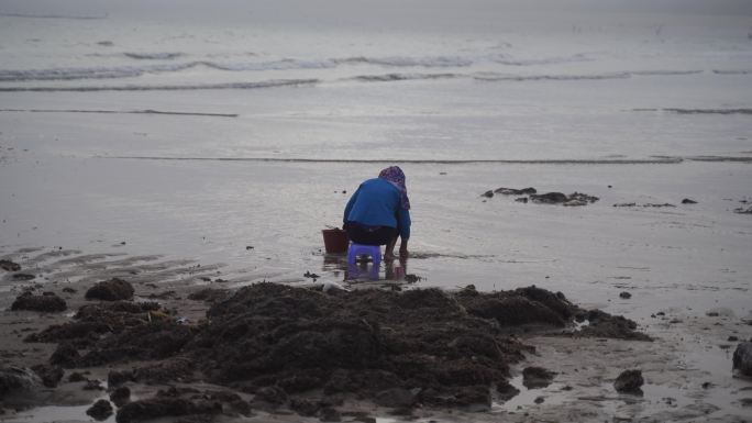 惠安女赶海挖海鲜渔民沙滩海边退潮捕鱼生活