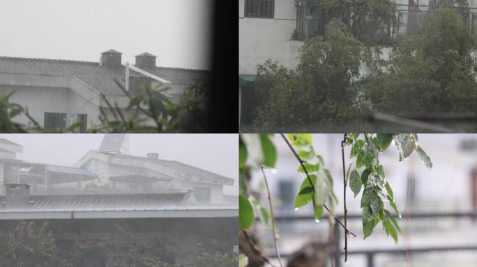 4K狂风暴雨大雨下雨强降水风雨交加