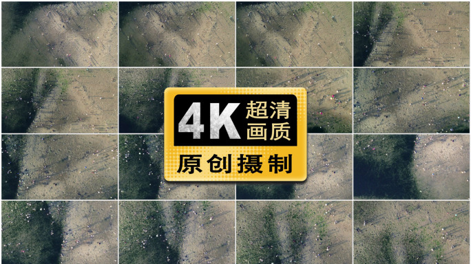 原创4k60p俯拍赶海人群倒影