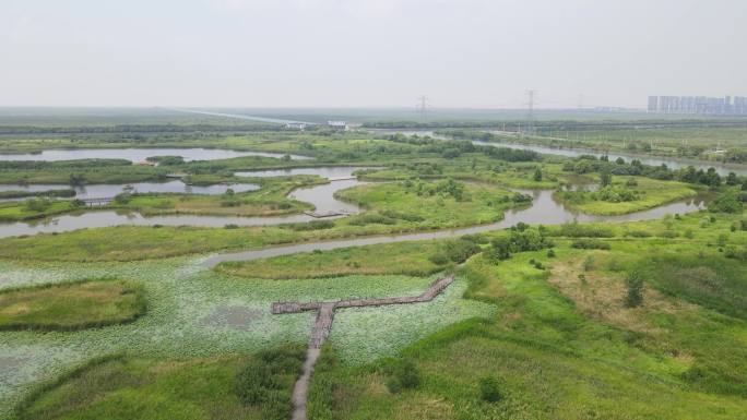 航拍宁波慈溪市杭州湾国家湿地公园4K航拍