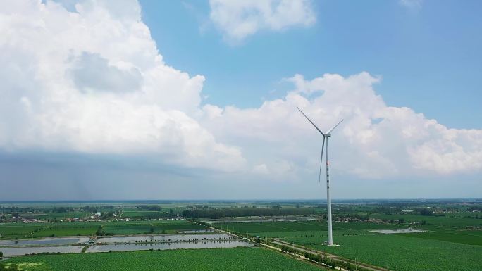 夏天大片农田里伫立的风力发电机