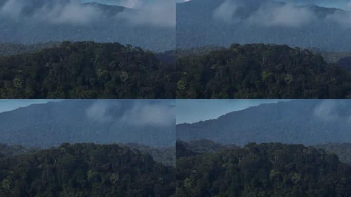 4k热带雨林海南亚热带森林丛林五指山航拍
