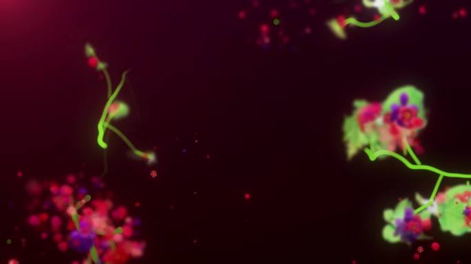 【视频】6K鲜花生长大屏 A版