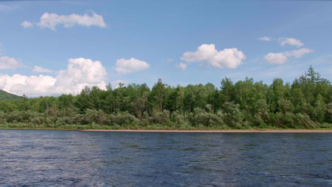 4K实拍-森林流水蓝天白云