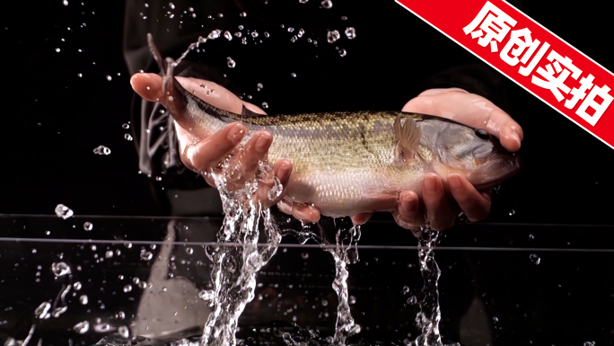 鲈鱼清蒸鲈鱼鱼火锅生鱼片