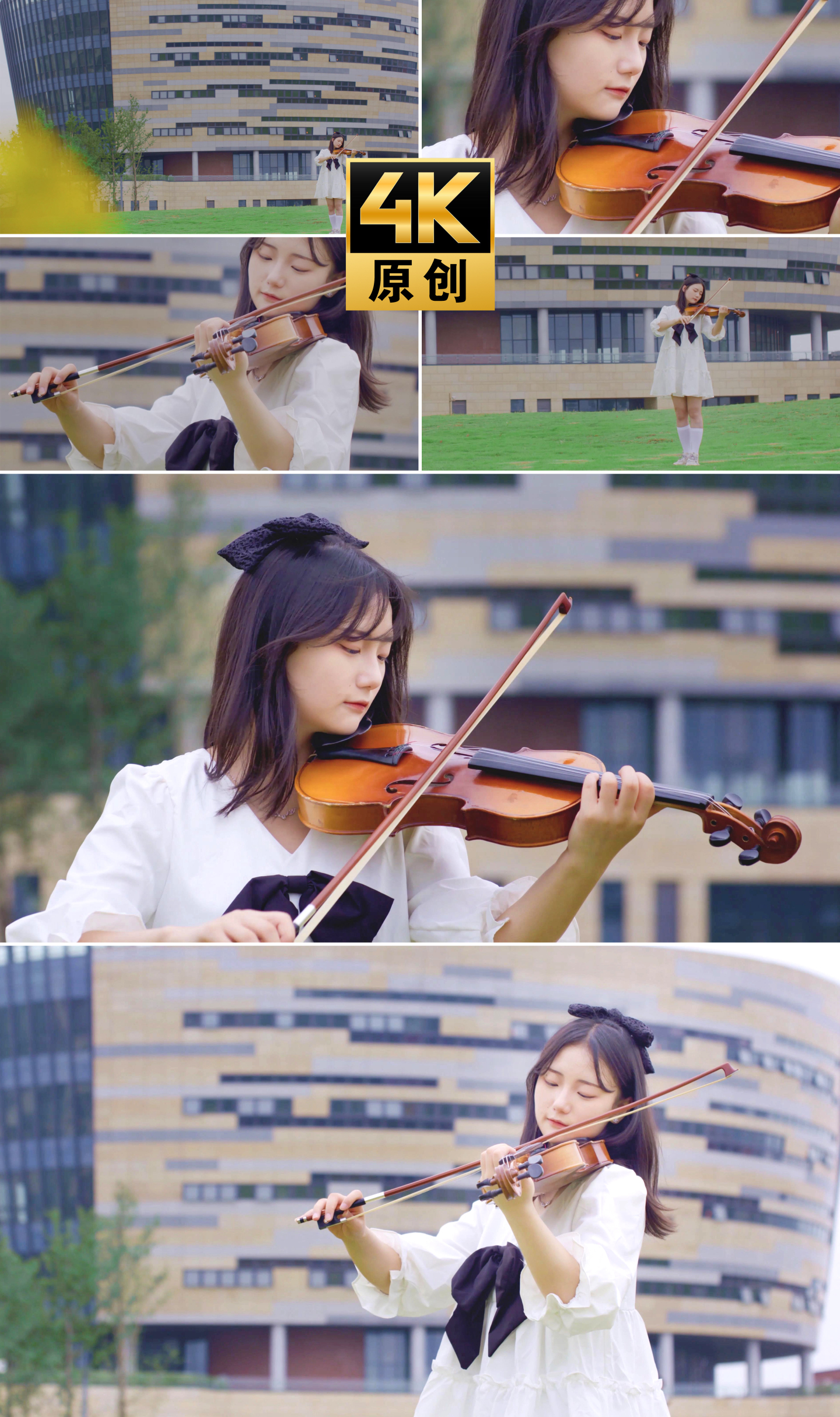 【4K】草坪美女拉小提琴