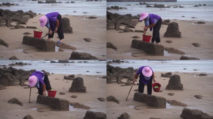 惠安女赶海挖海鲜渔民沙滩海边退潮捕鱼生活