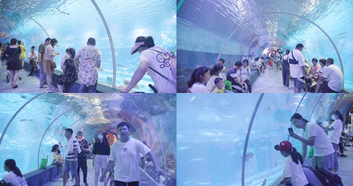 海底世界海洋馆汉海海洋乐园