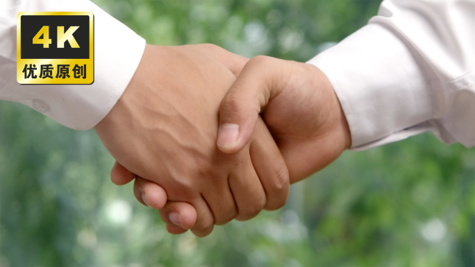 握手 商业合作 合作成功鼓劲两人握手