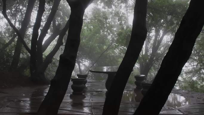 雨中静谧树林情绪雨滴