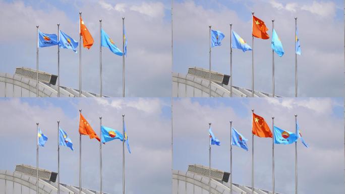 中国石油旗帜Logo